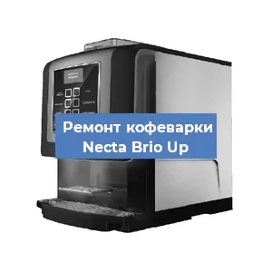 Замена прокладок на кофемашине Necta Brio Up в Нижнем Новгороде